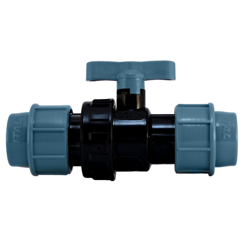 ���� �����. ���  25�25 �� ITAL/SPEKTR