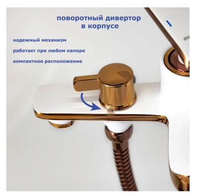 ��������� ��� ����� ���� ����� � ������� ������� �������� ��� Accoona A63123GR ������ � ����������