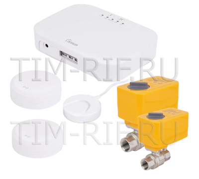 ������� TUYA 3/4 (12�) ZEISSLER ������