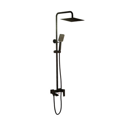 ������� ������� � ����������� �����, ������ Accoona A83124F