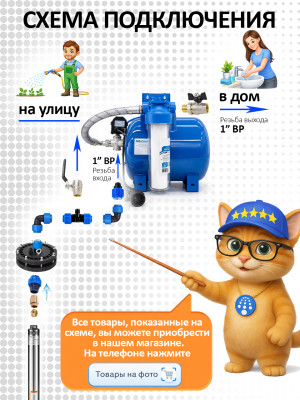 ���������������� � ����� � ����������� ���� ��� 100 � (����� ���, ��������, ������, ��������)