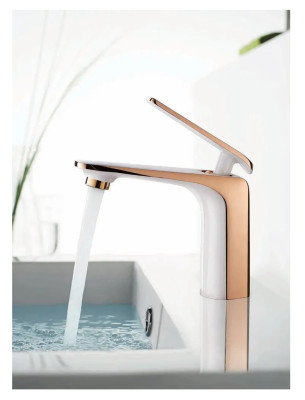 ��������� ��� �������� ����� + ������� ������ Accoona A90123GR