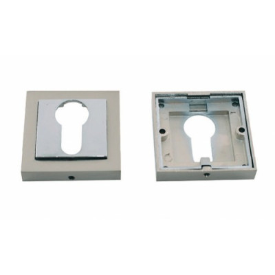 ���� ��������� ZF11-�� SN/CP �����/����