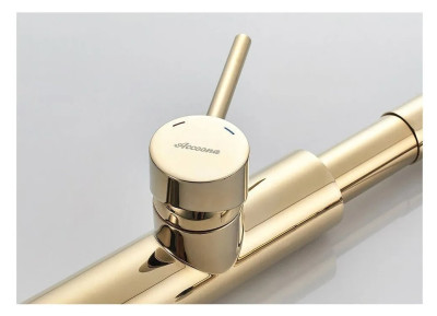 ������ ��������� ��� ����� ������� ������� ������ � ������ ������� Accoona A4890WF-1