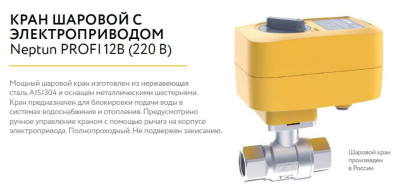 ���� ������� � ��������������� Neptun PROFI 220� 1"1/4 ���������� ������