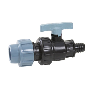 ���� �����. ��� 32 � � 20 ������ �� ����� ITAL